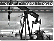 Tablet Screenshot of iconsafetyconsulting.com